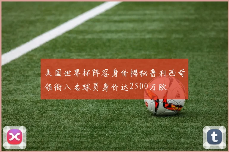 美国世界杯阵容身价揭秘普利西奇领衔八名球员身价达2500万欧