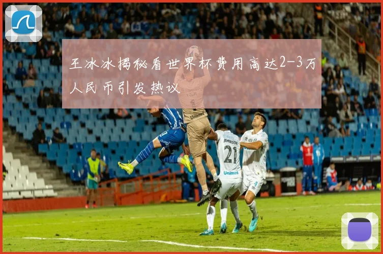 王冰冰揭秘看世界杯费用高达2-3万人民币引发热议