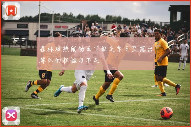 森林狼热闹场面下缺乏华子显露出球队的粗糙与不足