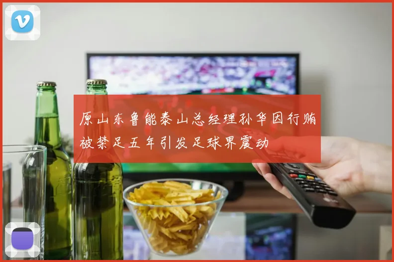 原山东鲁能泰山总经理孙华因行贿被禁足五年引发足球界震动